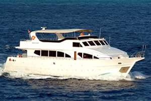 M/Y Discovery Liveaboard Diving Motor Yacht in the South Red Sea Egypt
